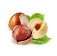 قیمت خرید فندق برشته اشکورات گیلان در گروه خرید و فروش فندق در یکمیوه