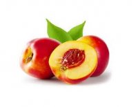 هلو و شلیل در مشگین شهر در گروه خرید و فروش شلیل در یکمیوه