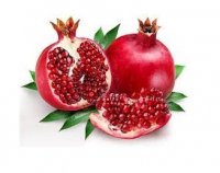 فروش میوه انار
