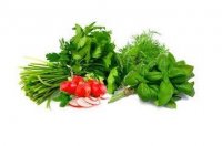 فروش کودکامل گرانول در نی ریز در گروه خرید فروش عمده سبزی های برگی - خوردن آش کوکو دلمه قورمه در یکمیوه