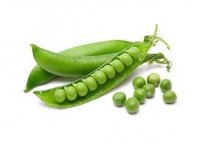 قیمت خرید اعطای نمایندگی انحصاری کارخانه در مشهد در گروه خرید و فروش نخود در یکمیوه