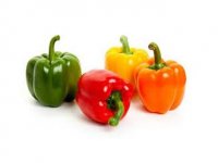 قیمت خرید فلفل دلمه مارگاریتا ناسکو در ابوزیدآباد در گروه خرید و فروش فلفل در یکمیوه