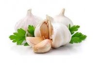 فروش پخش ویژه سیر سیاه در ساری در گروه خرید و فروش سیر در یکمیوه