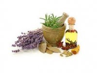 آویشن باغی
