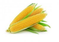 خریدار ذرت شکسته تناژ