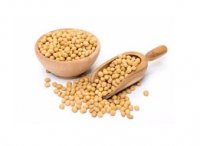 قیمت خرید سویا ایزوله برند یوکسین در کرج در گروه خرید و فروش سویا در یکمیوه