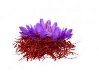 فروش کود مایع زعفران در مشهد زیر قیمت - تامین نهاده ایران در خراسان رضوی در گروه خرید فروش عمده زعفران - قائنات قیمت خراسان بهرامن گرم در یکمیوه