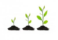 فروش تولید و نصب سقف متحرک در تبریز در آذربایجان شرقی در گروه مشاوره خاک - اصلاح و بهبود کشت و محصول در یکمیوه