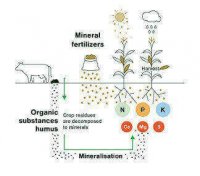 قیمت خرید سم کنه کش آپلو در تهران در گروه خرید و فروش انواع سم در یکمیوه