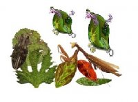 آگهی مشابه مشاوره و احداث باغ های داربستی و درختان میوه در گروه مشاوره گیاه پزشکی در یکمیوه