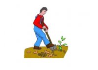 کارگر برای میوه ی بهنمیر در گروه کارگر کشاورز در یکمیوه