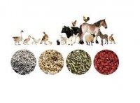 فروش ذرت برزیل در سراب در گروه نهاده ها دام و طیور در یکمیوه