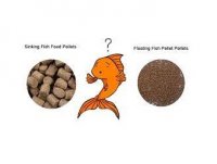 فروش پودر ماهی کیلکا متو جنوب ساردین در اصفهان در گروه خوراک شیلات و آبزیان - ماهی گیلان خوزستان چابهار بوشهر در یکمیوه