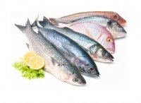 فروش حلزون در بوشهر در گروه انواع محصولات شیلات در یکمیوه