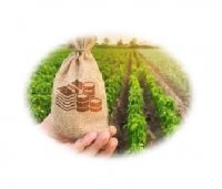 فروش نوار تیپ با کیفیت در مرودشت در گروه زمین کشاورزی - فروشی اجاره ای فروش دیم زراعی هکتار در یکمیوه