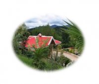 آگهی مشابه فروش زمین مسکونی در داراب در گروه ویلا - روستا روستایی زراعت خانه باغ کشاورز در یکمیوه