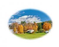 اجاره پنج هکتار زمین کشاورزی در ساوه در گروه سایر ملک و زمین روستایی کشاورزی دامداری در یکمیوه