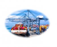 کارگزار رسمی گمرک ایران در تهران در گروه ترخیص کالا در یکمیوه