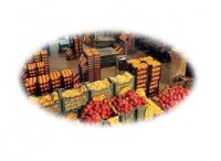 فروش کنجاله کنجد در تهران در گروه خرید و فروش عمده انواع محصولات کشاورزی و دامداری در یکمیوه