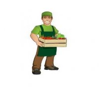 آگهی مشابه کارگری در میدان تره بار در تهران در گروه کارگر - استخدام کشاورزی و دامداری و میدان تره بار باغ زمین در یکمیوه