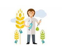 استخدامهای تهران در اندیشه