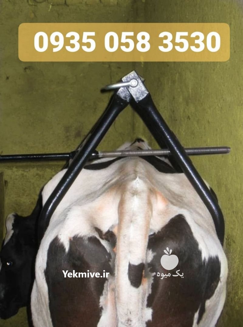 تولید و عرضه جک بلند کننده گاو سفارش 09350583530 در البرز در گروه مشاوره دام و طیور - دامداری دامپزشکی دام شبانه روزی حیوانات در یکمیوه -عکس1