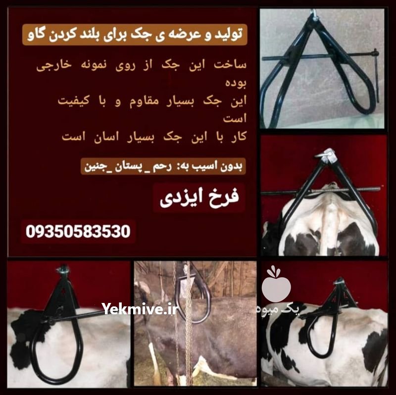 تولید و عرضه جک بلند کننده گاو سفارش 09350583530 در البرز در گروه مشاوره دام و طیور - دامداری دامپزشکی دام شبانه روزی حیوانات در یکمیوه -عکس2