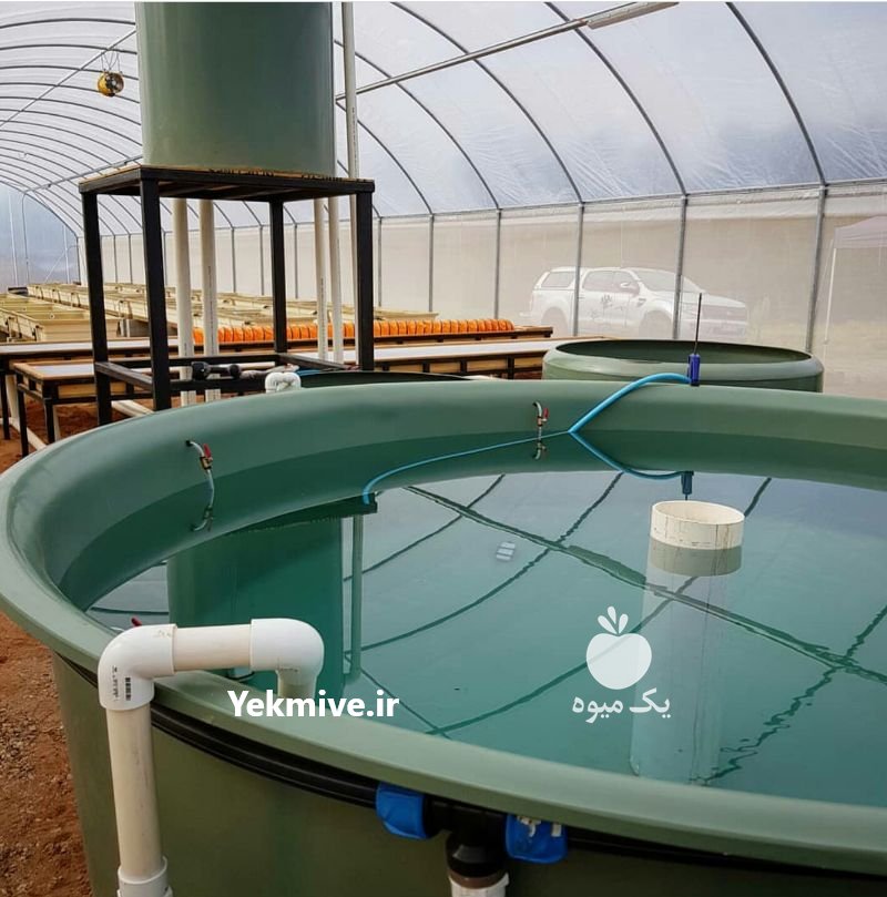 دوره آموزشی کشت آکواپونیک در تهران در گروه سایر خدمات - حوزه محصولات کشاورزی و دامپروری در یکمیوه -عکس2