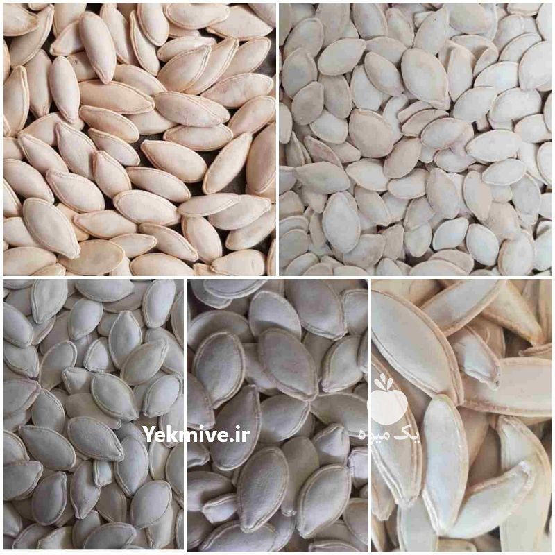 فروش عمده  تخمه در تهران در گروه انواع خشکبار - فروش مغز دانه فروش عمده در یکمیوه -عکس2