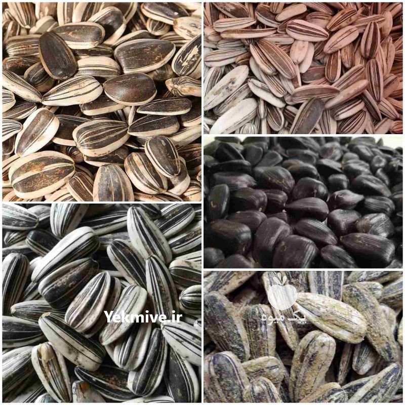 فروش عمده  تخمه در تهران در گروه انواع خشکبار - فروش مغز دانه فروش عمده در یکمیوه -عکس3