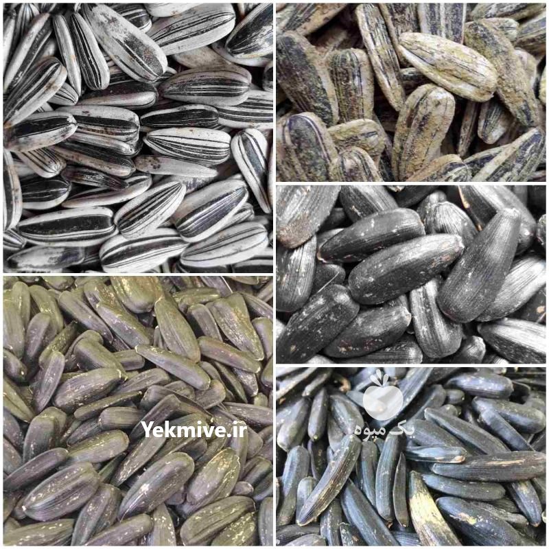 فروش عمده  تخمه در تهران در گروه انواع خشکبار - فروش مغز دانه فروش عمده در یکمیوه -عکس4