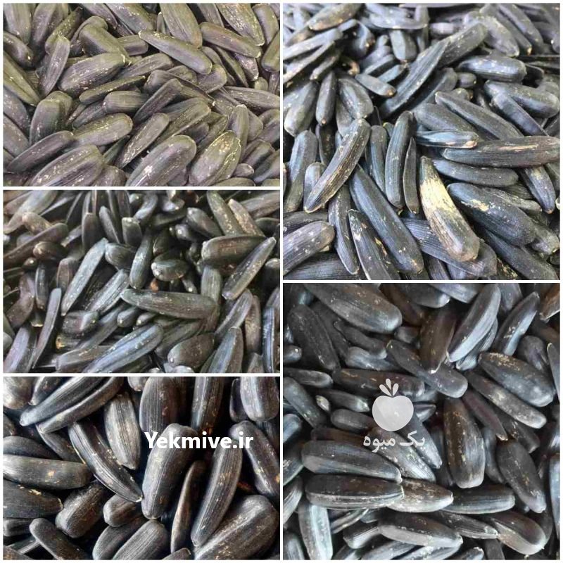 پخش عمده تخمه صادراتی در شهریار در گروه مشارکت در صادرات و واردات محصولات کشاورزی در یکمیوه -عکس1