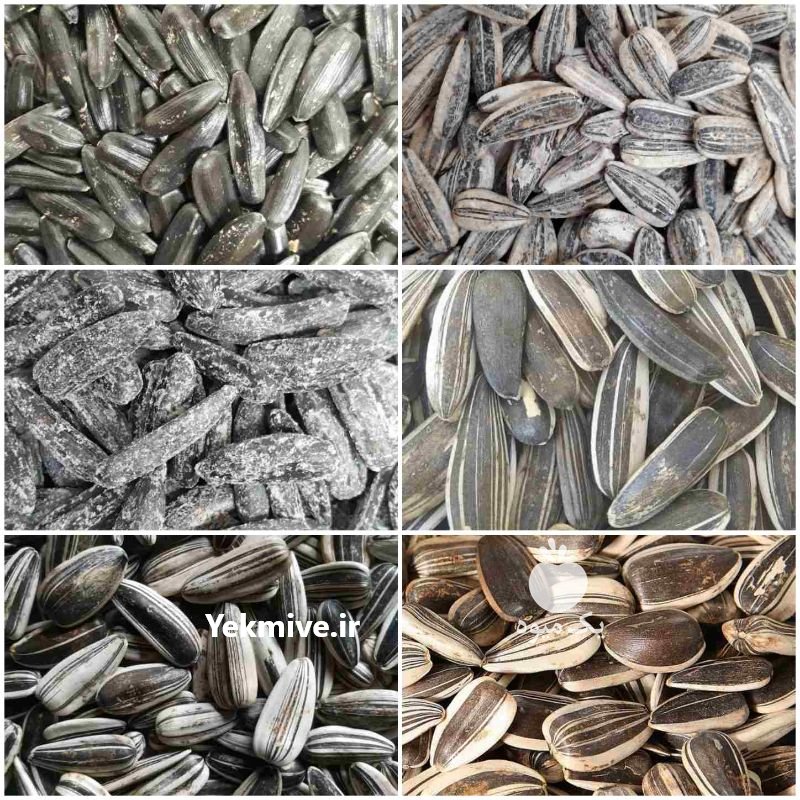 فروش عمده انواع تخمه در همدان در گروه خرید فروش عمده آفتابگردان - تخمه خوی دیم گل در یکمیوه -عکس2