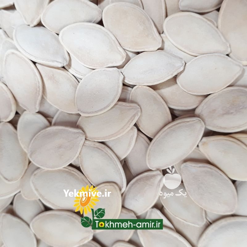 فروش تخمه امیر در شیراز در گروه خرید فروش عمده آفتابگردان - تخمه خوی دیم گل در یکمیوه -عکس3