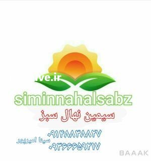 نهالستان بزرگ سیمین نهال سبز در کرمانشاه در گروه خرید فروش عمده سایر محصولات گلخانه ای در یکمیوه -عکس3