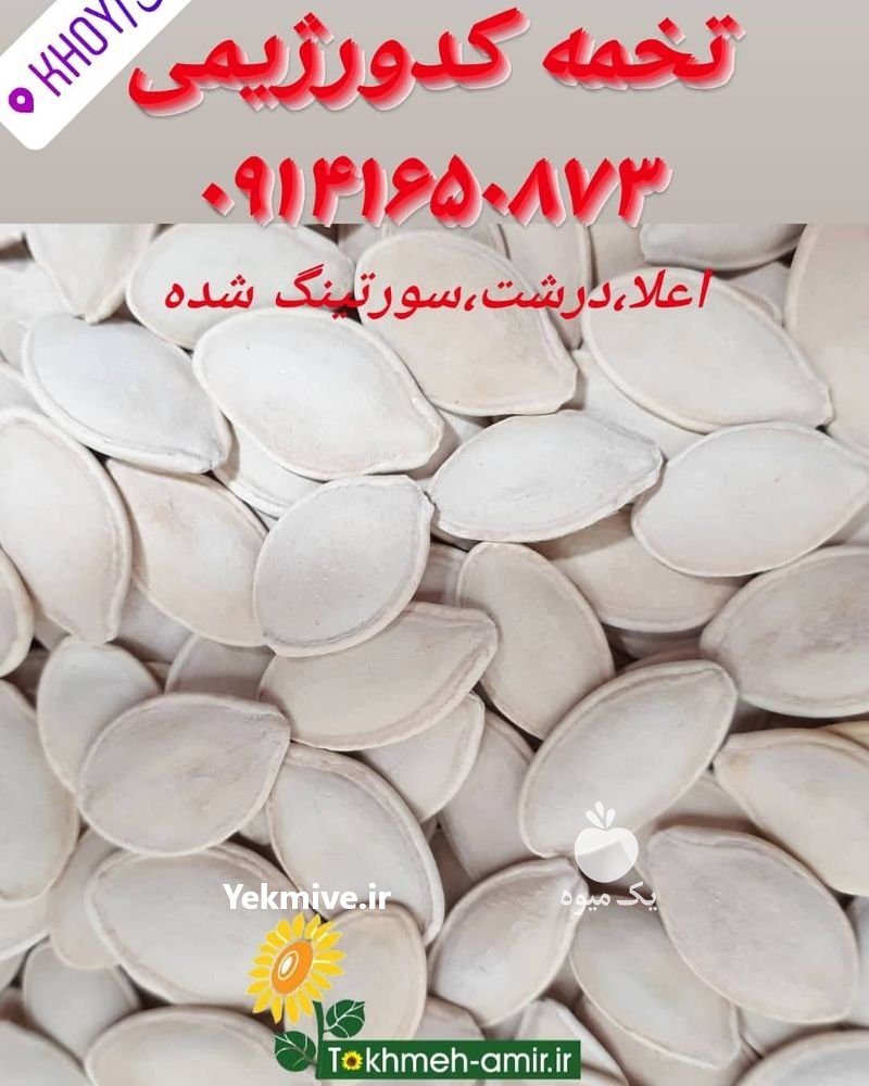فروش عمده تخمه دورسفید ، تخمه امیر در کرمان  در گروه انواع خشکبار - فروش مغز دانه فروش عمده در یکمیوه -عکس2