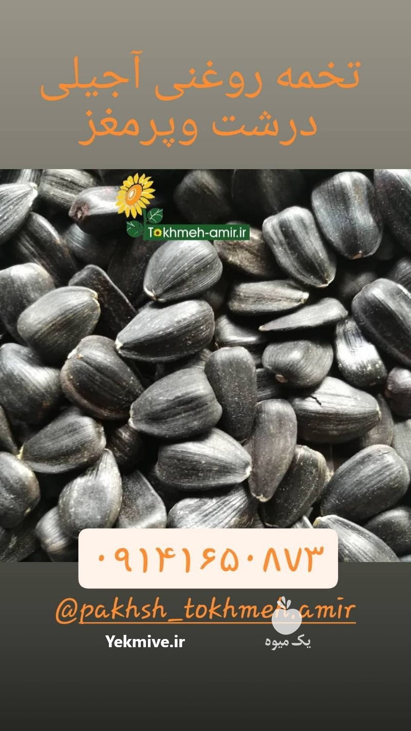فروش عمده تخمه دورسفید ، تخمه امیر در کرمان  در گروه انواع خشکبار - فروش مغز دانه فروش عمده در یکمیوه -عکس4