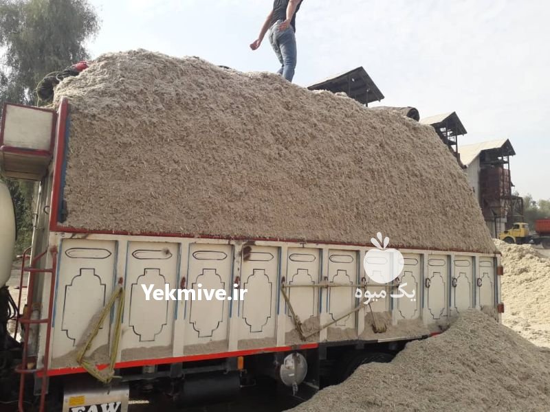 کاه نیشکر باگاس در خرمشهر در گروه خوراک دام و طیور - پرواری شیری علوفه یونجه در یکمیوه -عکس2