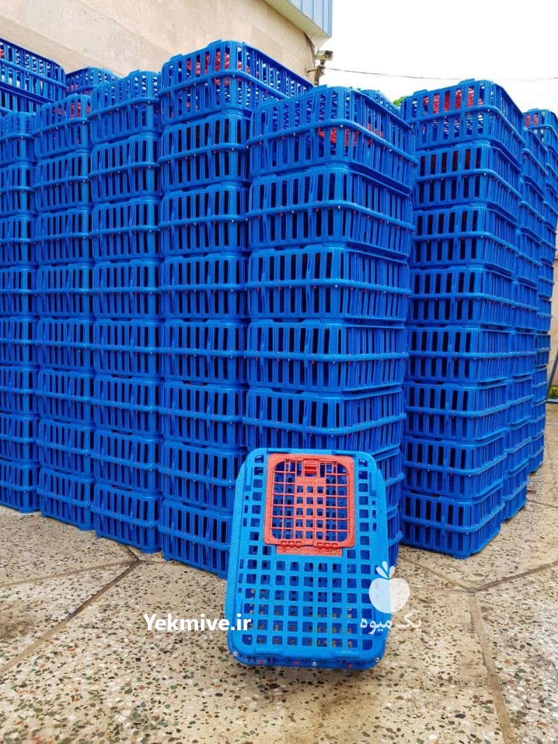 انواع سبد پلاستیکی درجه یک در اصفهان در گروه خرید فروش انواع سبد - میوه پلاستیکی چوبی گل در یکمیوه -عکس3