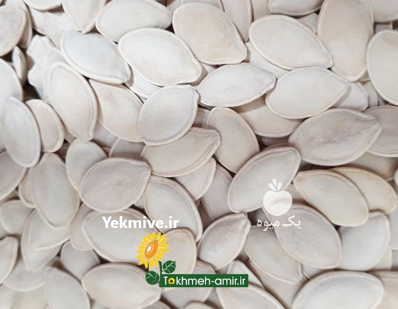 تخمه دورسفید وتخمه سیاه در چالوس در گروه انواع خشکبار - فروش مغز دانه فروش عمده در یکمیوه -عکس3