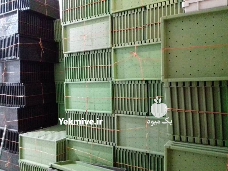 سینی کشت علوفه هیدروپونیک در مشهد در خراسان رضوی در گروه خرید فروش سایر محصولات تجهیزات کشاورزی در یکمیوه -عکس2