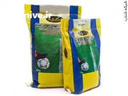 شبدر زینتی  بذر چمن در تهران در گروه خرید فروش بذر - انواع محصول کشاورزی گوجه کتان میوه درخت در یکمیوه -عکس1