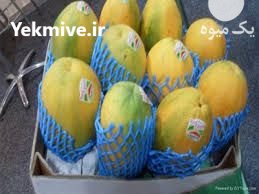 فوم خربزه و ملون در آذربایجان شرقی در گروه سایر بسته بندی محصول در یکمیوه -عکس2