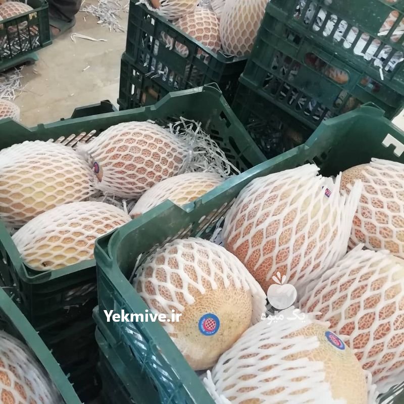فوم خربزه و ملون در آذربایجان شرقی در گروه سایر بسته بندی محصول در یکمیوه -عکس4