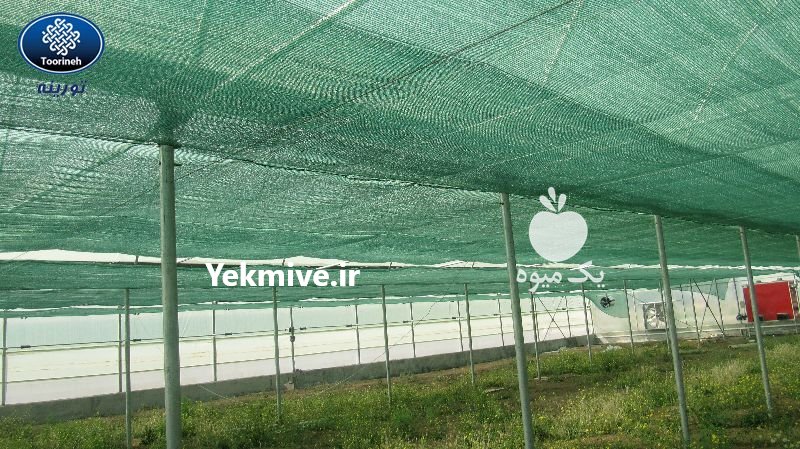 توری شید گلخانه  ،  توری سایبان در تهران در گروه خرید فروش عمده سایر محصولات گلخانه ای در یکمیوه -عکس2