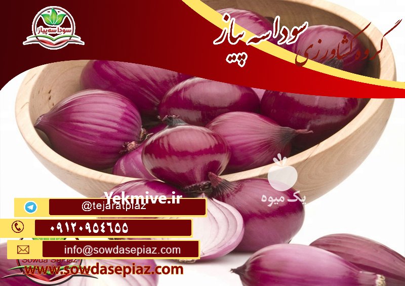 فروش عمده انواع پیاز زرد و قرمز در دزفول در گروه خرید فروش عمده سایر محصولات زراعی سر زمین در یکمیوه -عکس3
