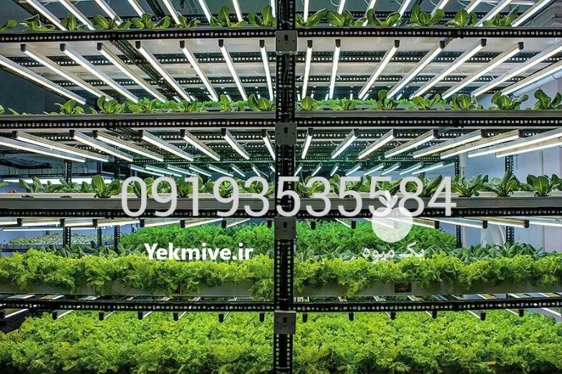 دستگاه کشت سبزیجات هیدروپونیک در تهران در گروه خرید فروش تجهیزات گلخانه - صنعتی خانگی هوشمند دست دوم در یکمیوه -عکس1