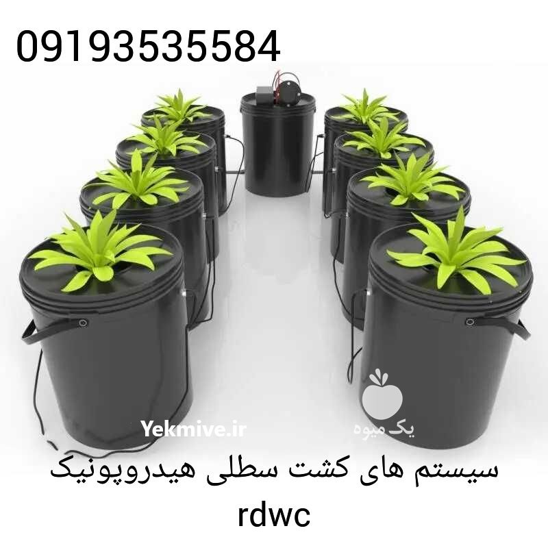 سیستم کشت سطلی هیدروپونیک rdwc در تهران در گروه خرید فروش تجهیزات گلخانه - صنعتی خانگی هوشمند دست دوم در یکمیوه -عکس1