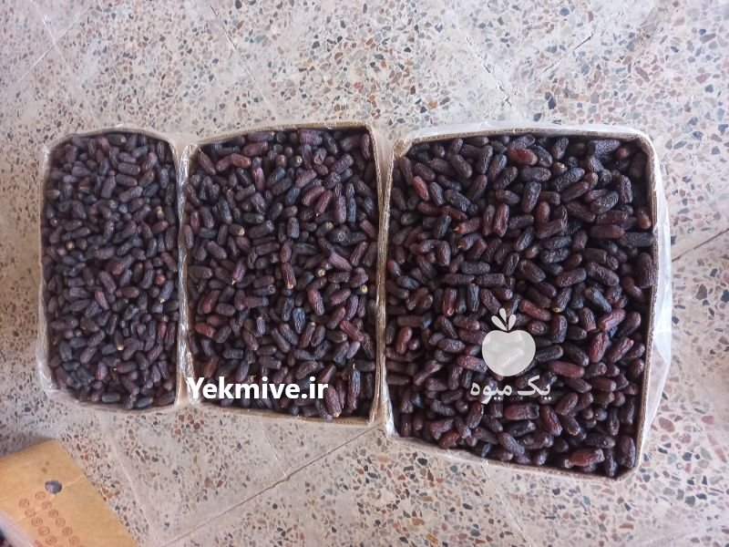 فروش خرمای زاهدی سال 1400 در پارس آباد در گروه خرید فروش عمده خرما - کبکاب تازه زاهدی خشک خارک در یکمیوه -عکس3