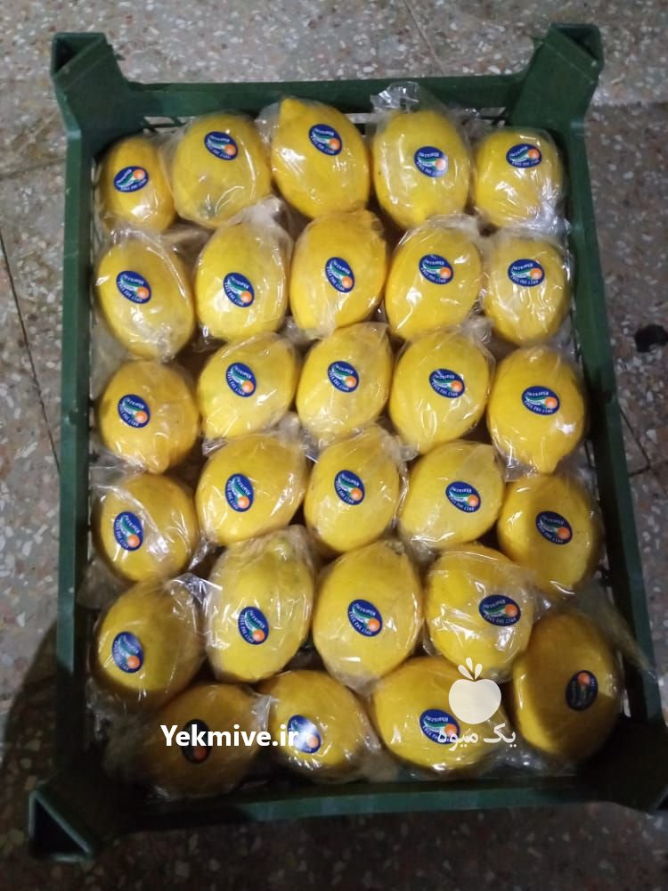 فروش لیموترش لیمو سنگی در خنج در گروه خرید فروش عمده لیمو ترش - شیرازی باریج سنگی در یکمیوه -عکس2